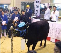 Matsusaka cow sold for 30 mil. yen amid mad cow scare